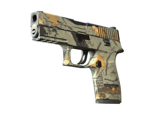 P250 | Modern Hunter (После полевых испытаний)