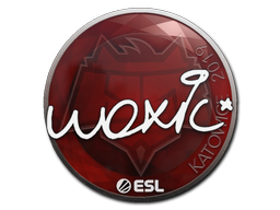 Наклейка | woxic | Катовице-2019