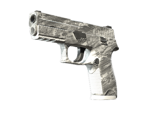 P250 | Sleet (Немного поношенное)