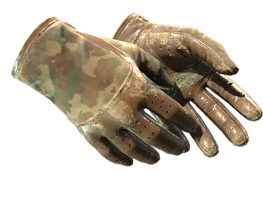 ★ Driver Gloves | Convoy (Закаленное в боях)