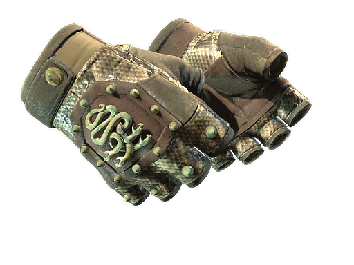 ★ Hydra Gloves | Rattler (После полевых испытаний)