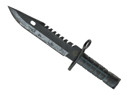 ★ M9 Bayonet | Night (Закаленное в боях)