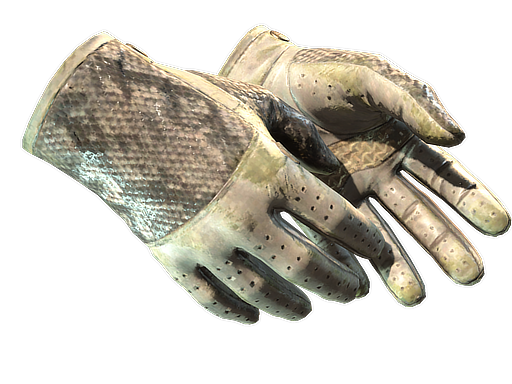 ★ Driver Gloves | King Snake (Закаленное в боях)