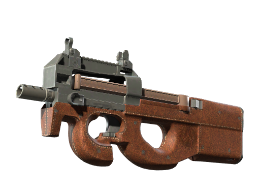 P90 | Leather (После полевых испытаний)