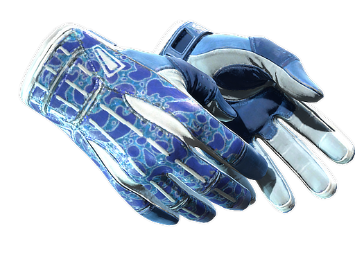 ★ Sport Gloves | Amphibious (Немного поношенное)