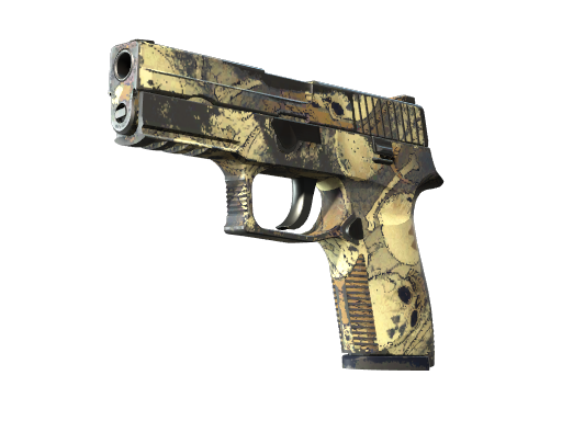 P250 | Contamination (После полевых испытаний)