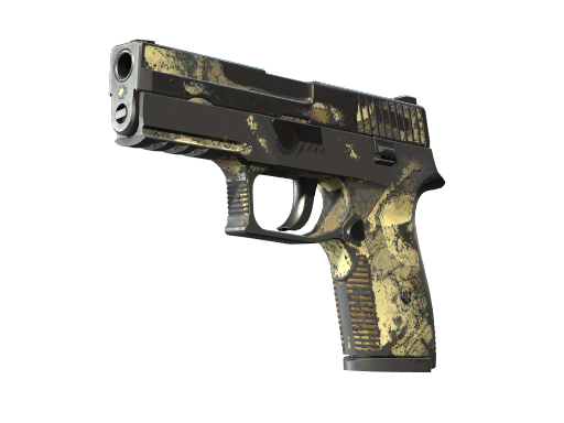 P250 | Contamination (Закаленное в боях)
