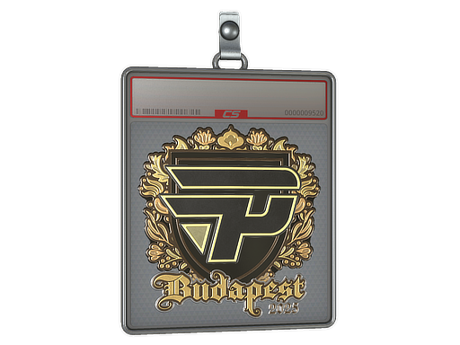 Sticker Slab | paiN Gaming (Gold) | Budapest 2025