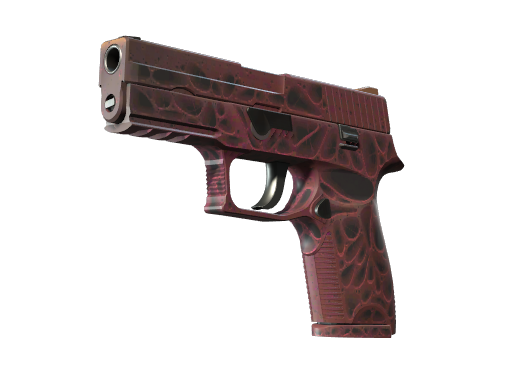 StatTrak™ P250 | Contaminant (Немного поношенное)