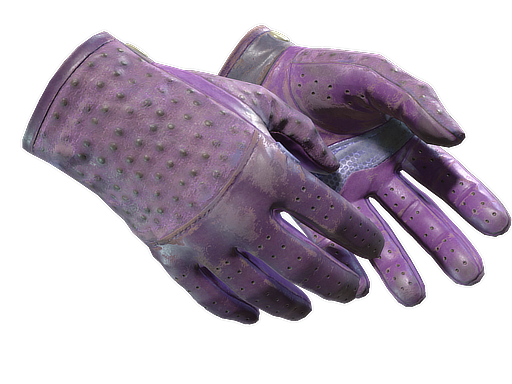★ Driver Gloves | Plum Quill (Закаленное в боях)