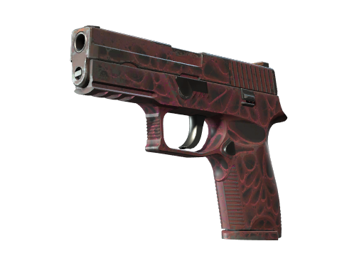 StatTrak™ P250 | Contaminant (После полевых испытаний)