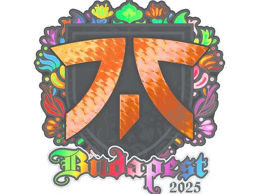 Наклейка | Fnatic (голографическая) | Будапешт-2025