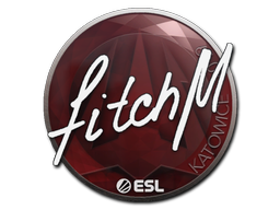 Наклейка | fitch | Катовице-2019