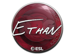 Наклейка | Ethan | Катовице-2019