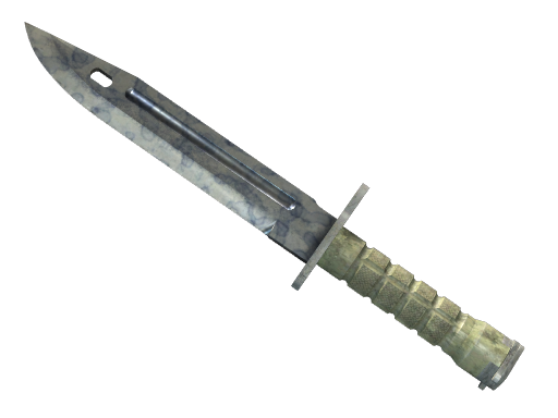 ★ Bayonet | Stained (Поношенное)