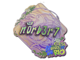 Наклейка | n0rb3r7 (голографическая) | Рио-2022
