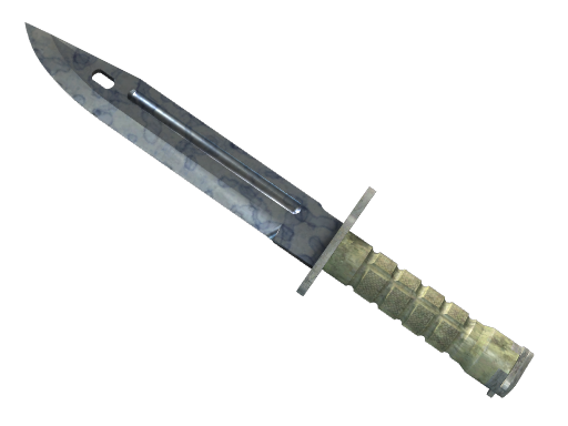★ Bayonet | Stained (Немного поношенное)