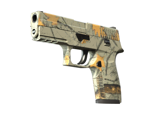 P250 | Modern Hunter (Немного поношенное)
