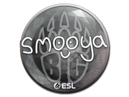 Наклейка | smooya | Катовице-2019