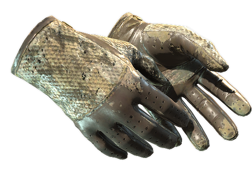 ★ Driver Gloves | Diamondback (Закаленное в боях)