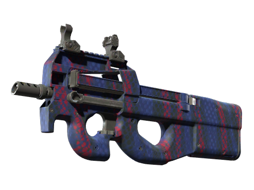 P90 | Teardown (Немного поношенное)