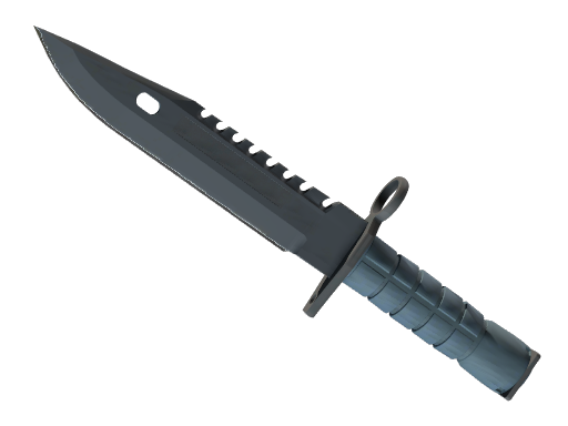 ★ M9 Bayonet | Night (Немного поношенное)