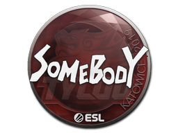 Наклейка | somebody | Катовице-2019