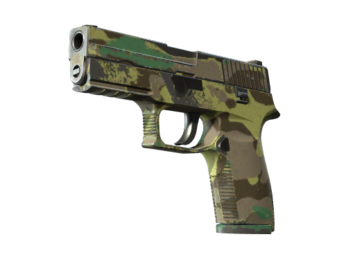 P250 | Boreal Forest (Поношенное)