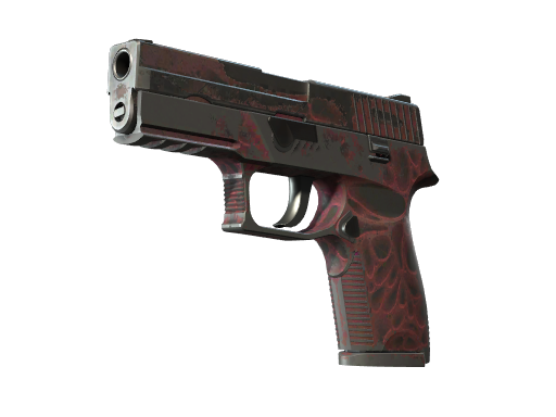 P250 | Contaminant (Закаленное в боях)