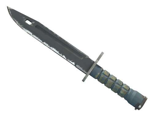 ★ Bayonet | Night (После полевых испытаний)