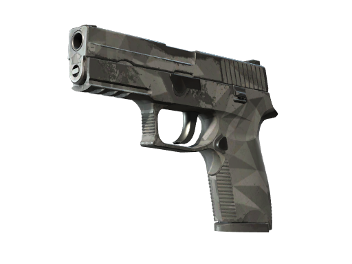 P250 | Facets (После полевых испытаний)