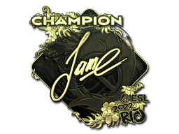 Наклейка | Jame (золотая, чемпион) | Рио-2022