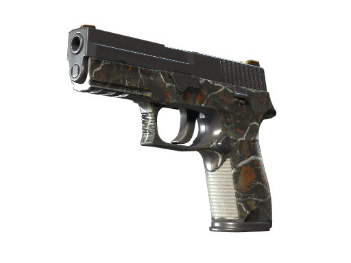 P250 | Small Game (После полевых испытаний)