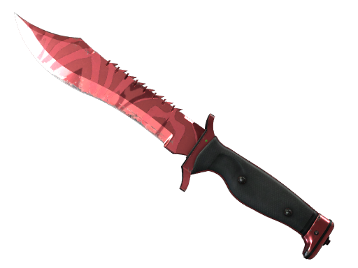 ★ Bowie Knife | Slaughter (После полевых испытаний)