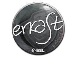 Наклейка | erkaSt | Катовице-2019