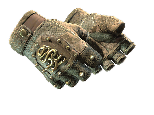 ★ Hydra Gloves | Mangrove (Закаленное в боях)