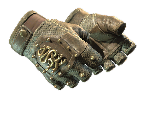 ★ Hydra Gloves | Mangrove (После полевых испытаний)