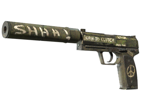 USP-S | Flashback (После полевых испытаний)