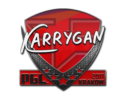 Наклейка | karrigan | Краков-2017