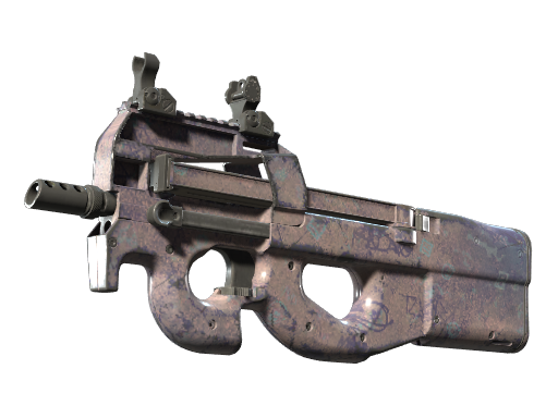 P90 | Wash me (После полевых испытаний)