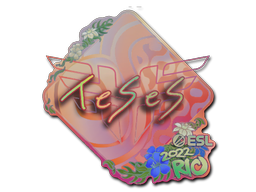 Наклейка | TeSeS (голографическая) | Рио-2022