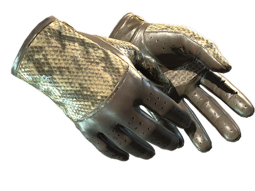 ★ Driver Gloves | Diamondback (Немного поношенное)