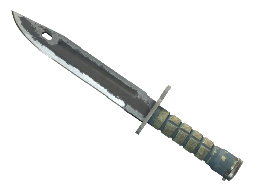 ★ Bayonet | Night (Закаленное в боях)