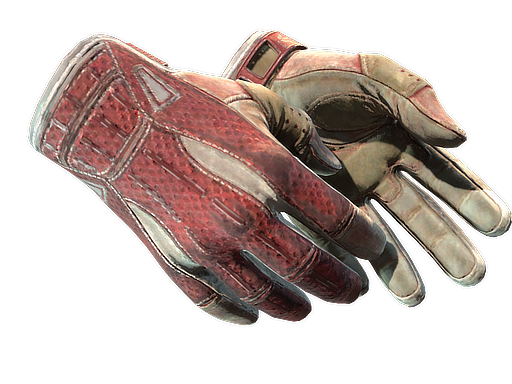 ★ Sport Gloves | Slingshot (Закаленное в боях)