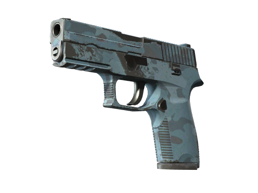 P250 | Forest Night (После полевых испытаний)