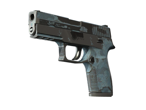 P250 | Forest Night (Закаленное в боях)