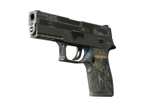 P250 | Exchanger (Закаленное в боях)
