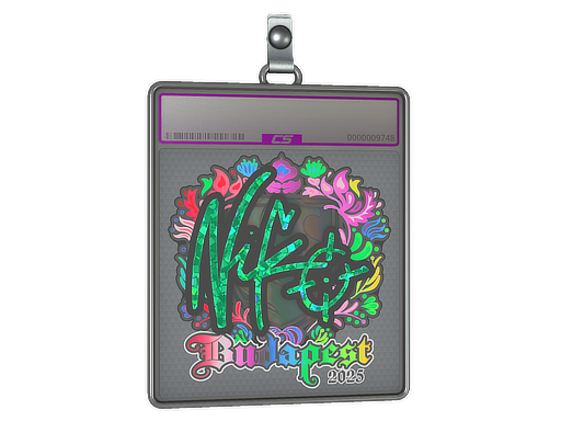 Sticker Slab | NiKo (Holo) | Budapest 2025