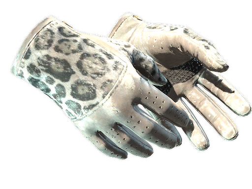 ★ Driver Gloves | Snow Leopard (После полевых испытаний)