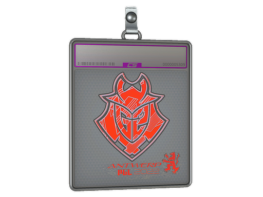 Sticker Slab | G2 Esports (Holo) | Antwerp 2022